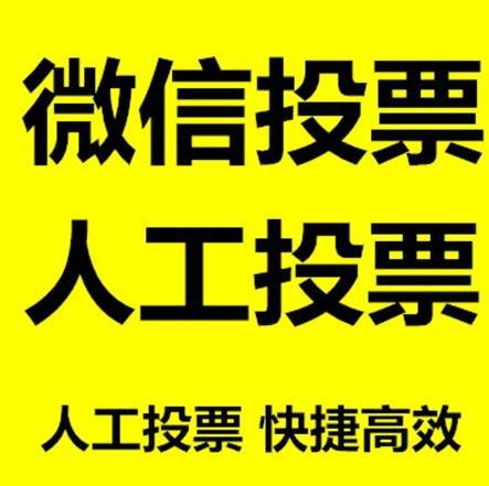 厦门市微信刷票怎么投票